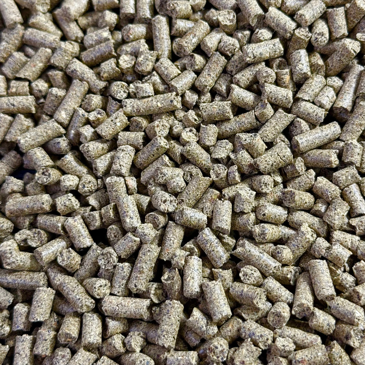 Green Cuisine Vegetable Protein 250g (Experimental Formula)