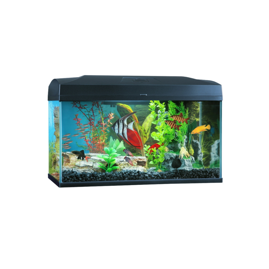 BluePlanet Classic Aquarium (In-Store Only)