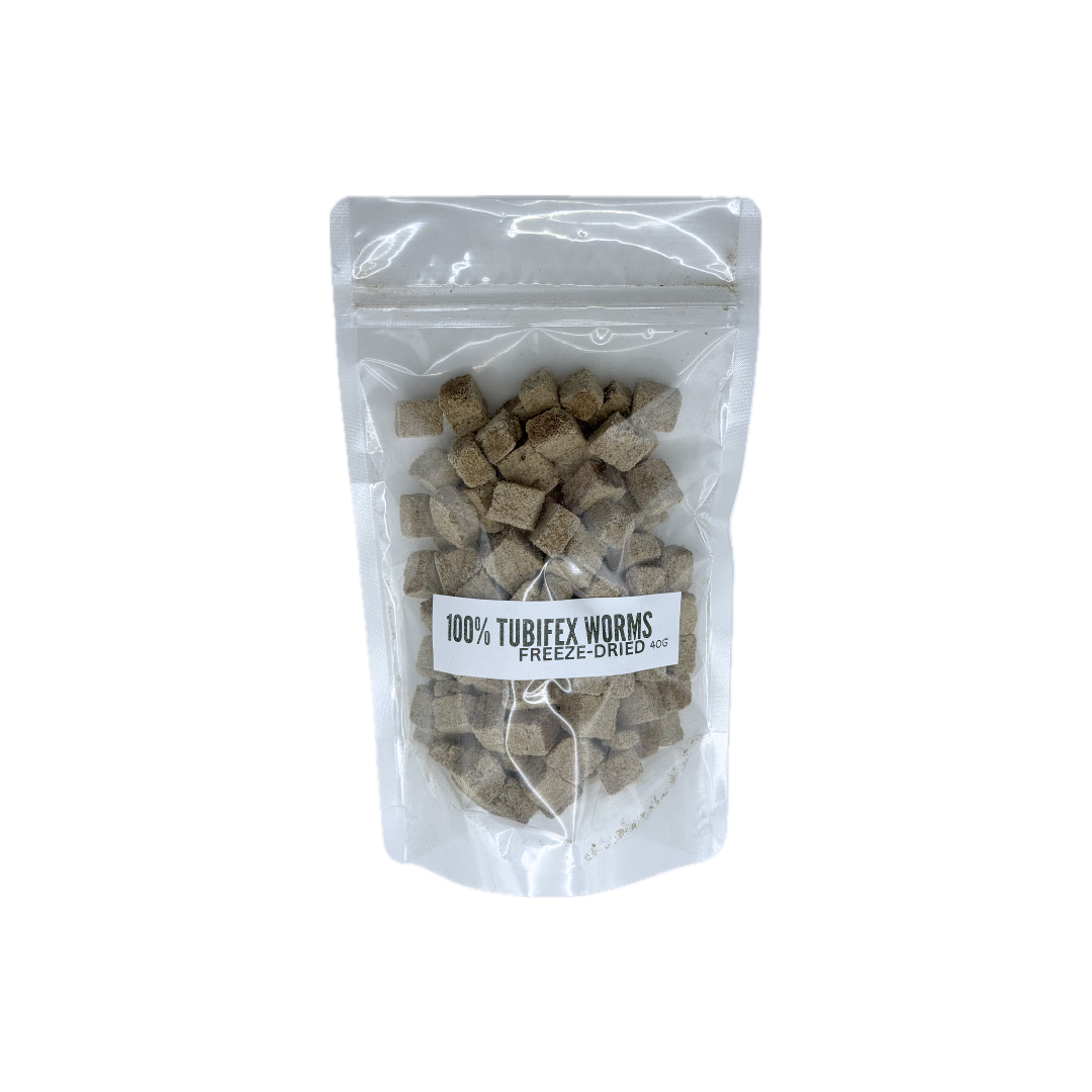 Freeze-Dried Tubifex Worms