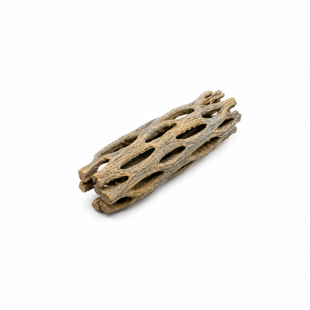 Natural Cholla Wood