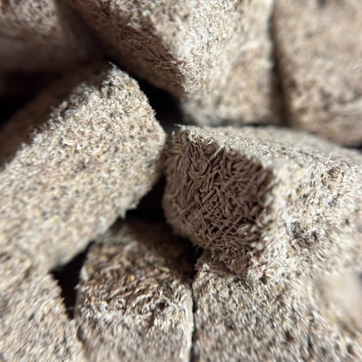 Freeze-Dried Tubifex Worm Cubes
