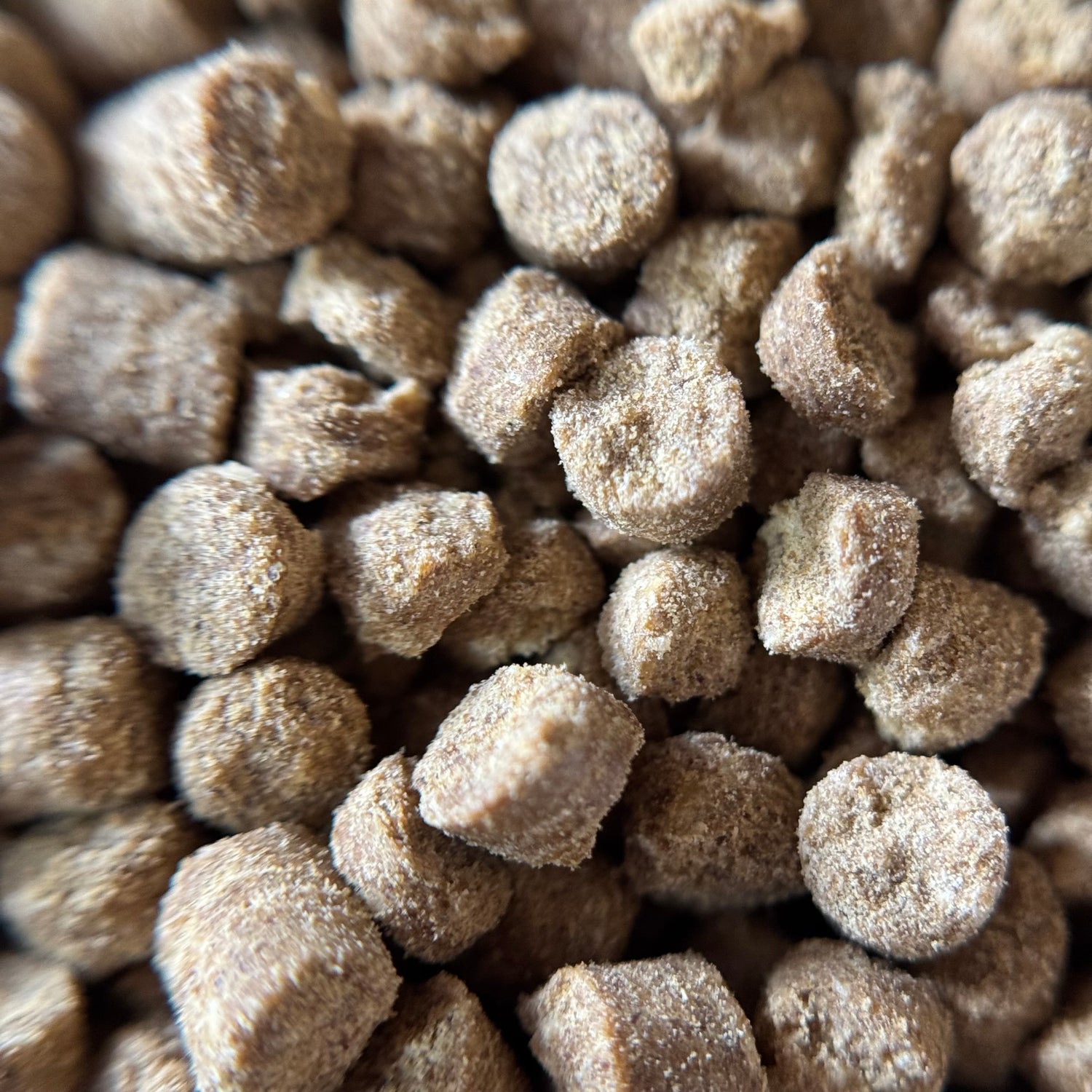 Insect-based high-protein fish food Australia