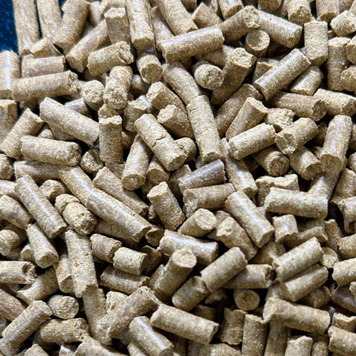 Bug Buffet Sinking Sticks 250g (Experimental Formula)