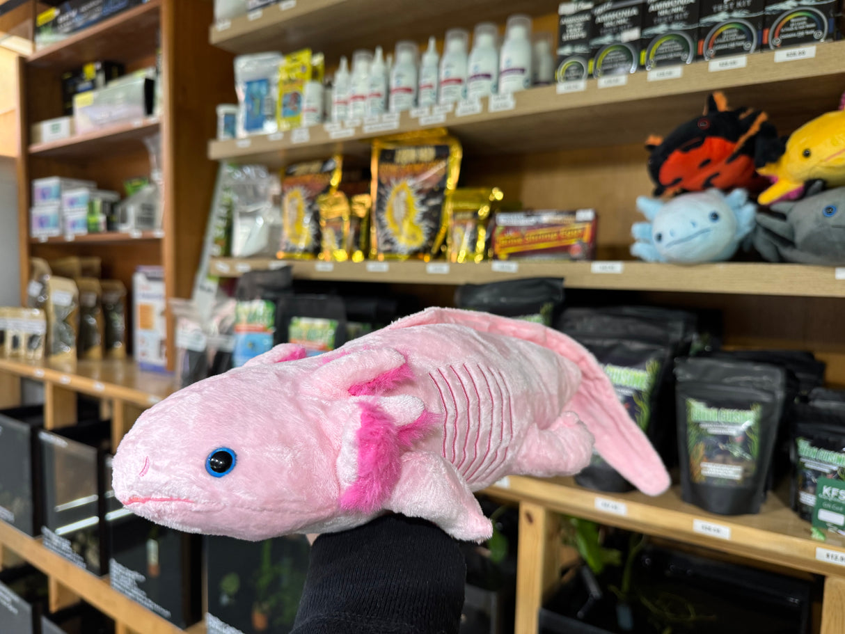 Axolotl Plush