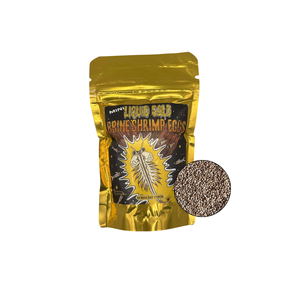 Liquid Gold Brine Shrimp Eggs MINI - Bohai Bay Cysts