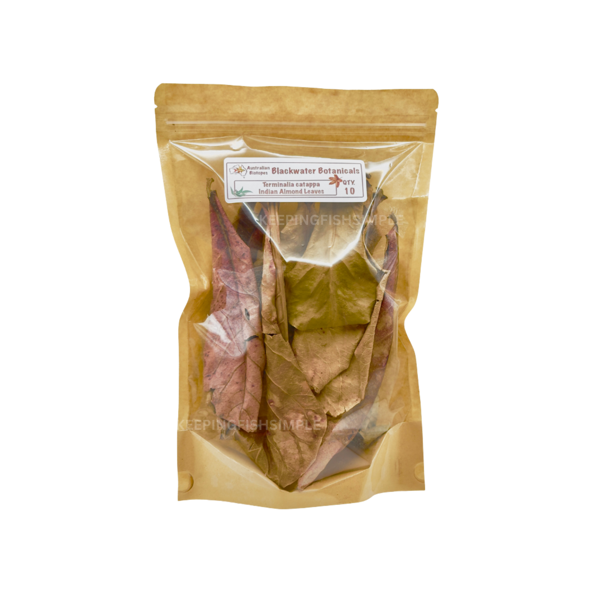Indian Almond Leaves (Terminalia catappa) – Pack of 10