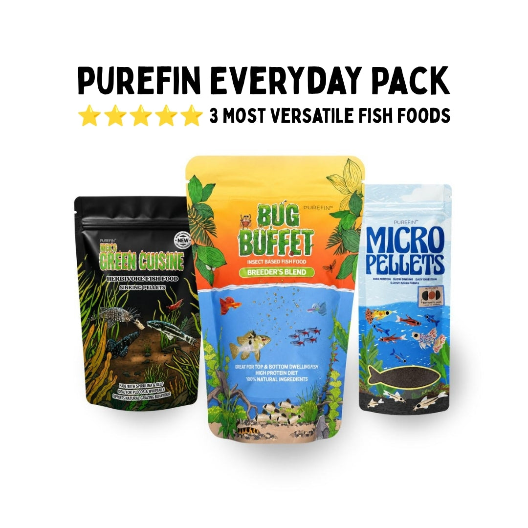 PureFin Everyday Pack