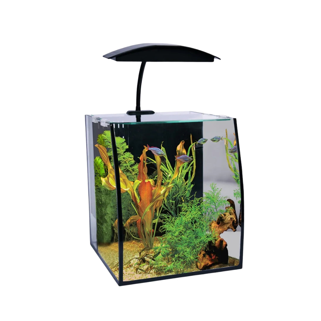 AquaOne Arc 16 Glass Aquarium Set - 16L (In-Store Only)