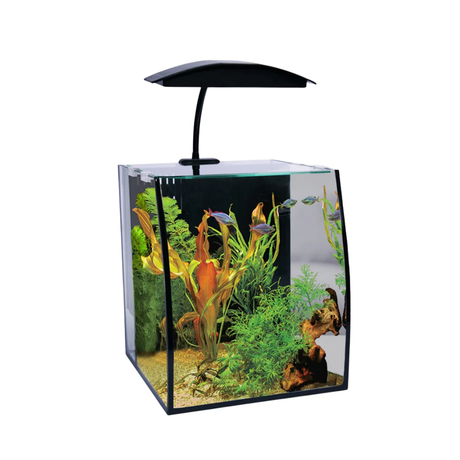 Aquariums