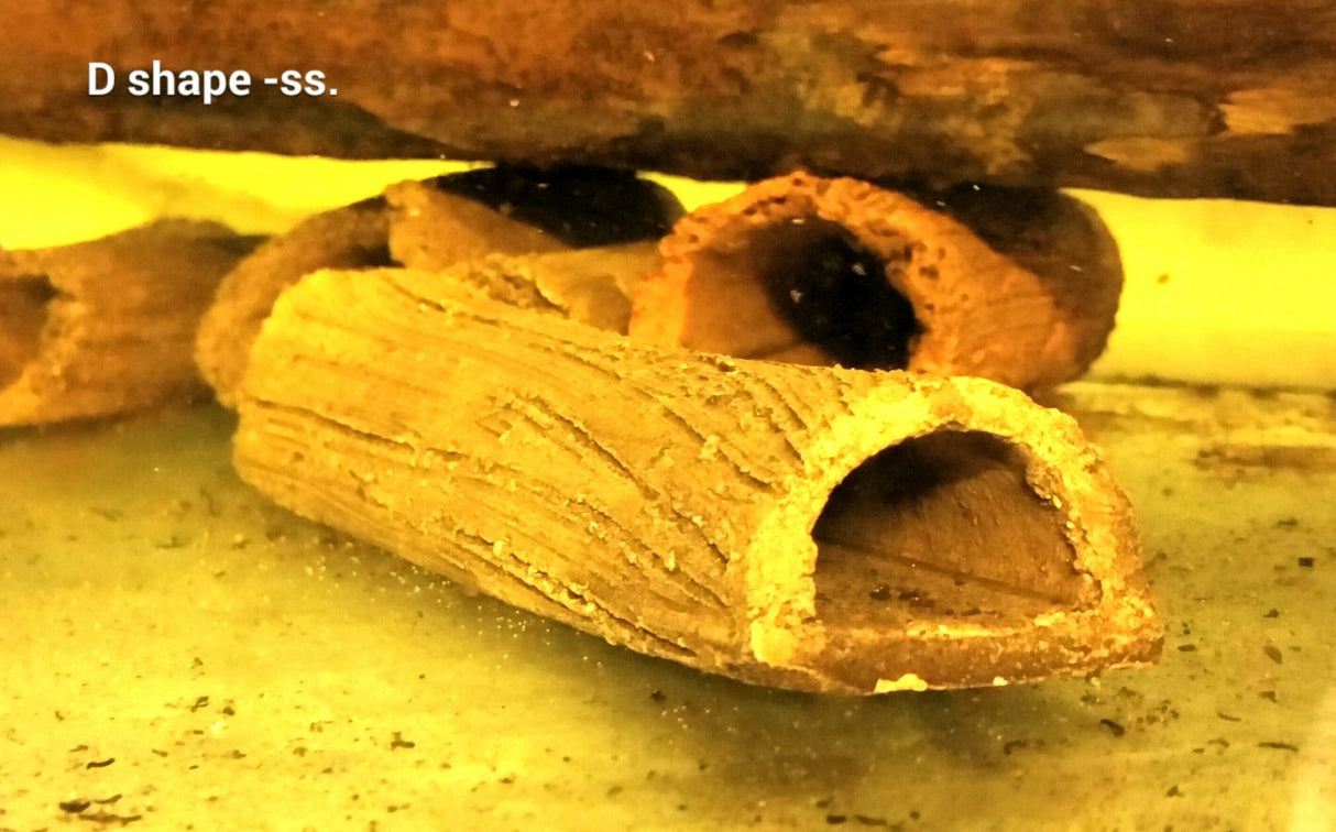 Super Small D Shape Bristlenose Breeding Cave