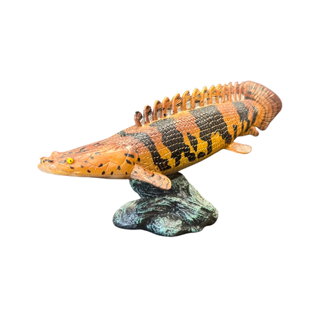 Bichr Figure