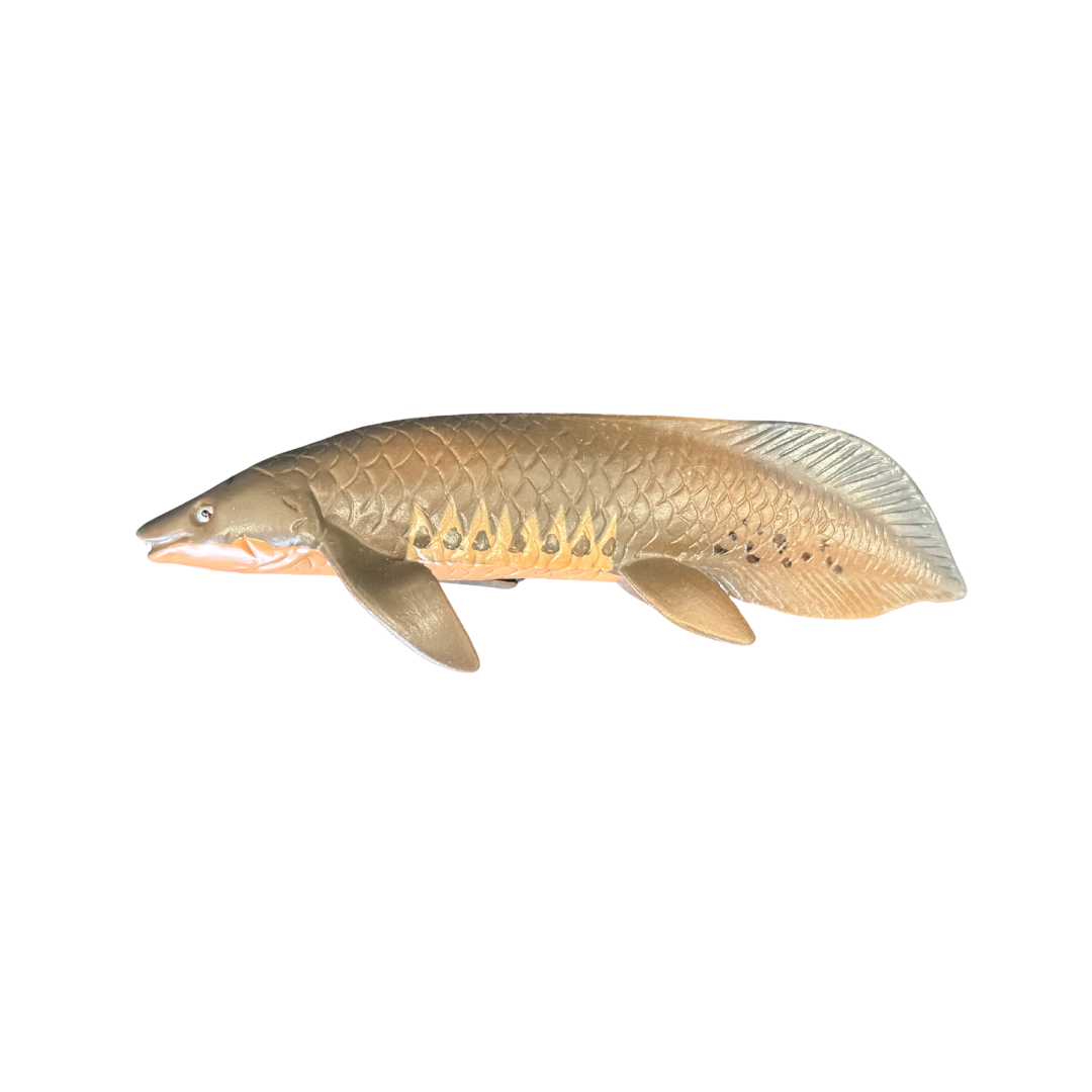 Lung Fish Figure