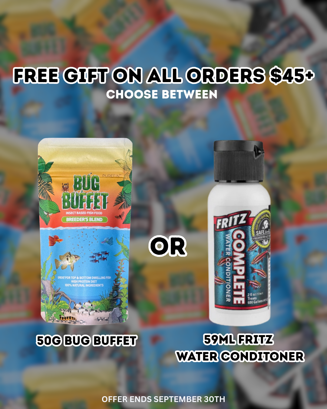 FREE BUG BUFFET OR WATER CONDITIONER