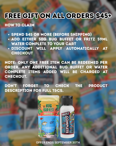 FREE BUG BUFFET OR WATER CONDITIONER