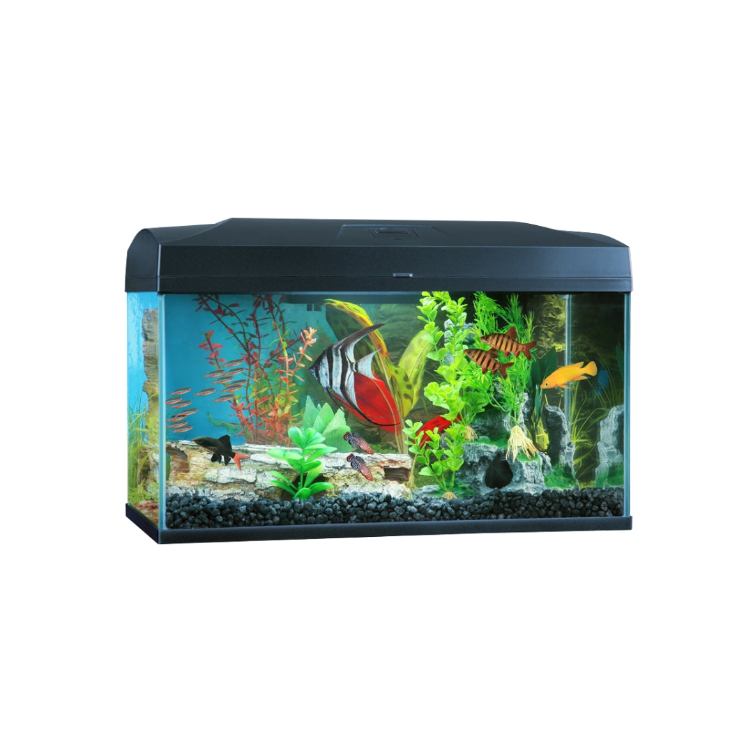 BluePlanet Classic Aquarium