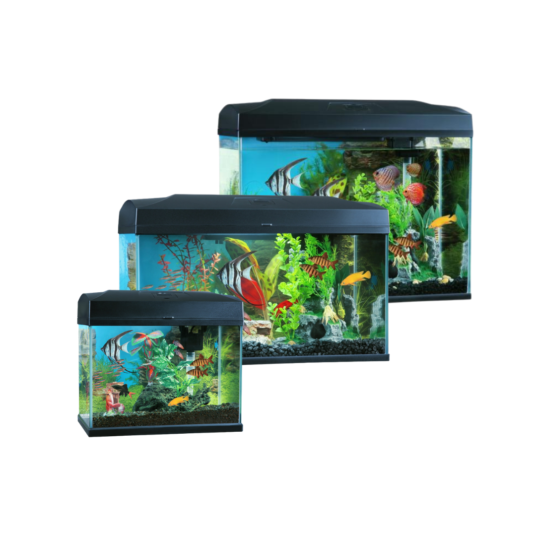BluePlanet Classic Aquarium (In-Store Only)