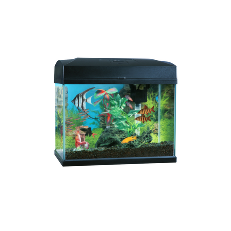 BluePlanet Classic Aquarium (In-Store Only)
