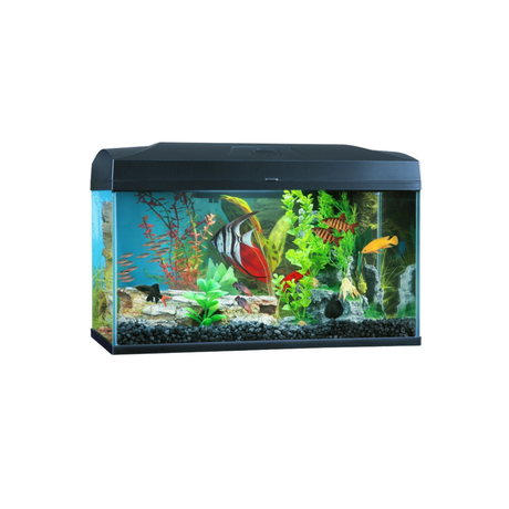 BluePlanet Classic Aquarium (In-Store Only)