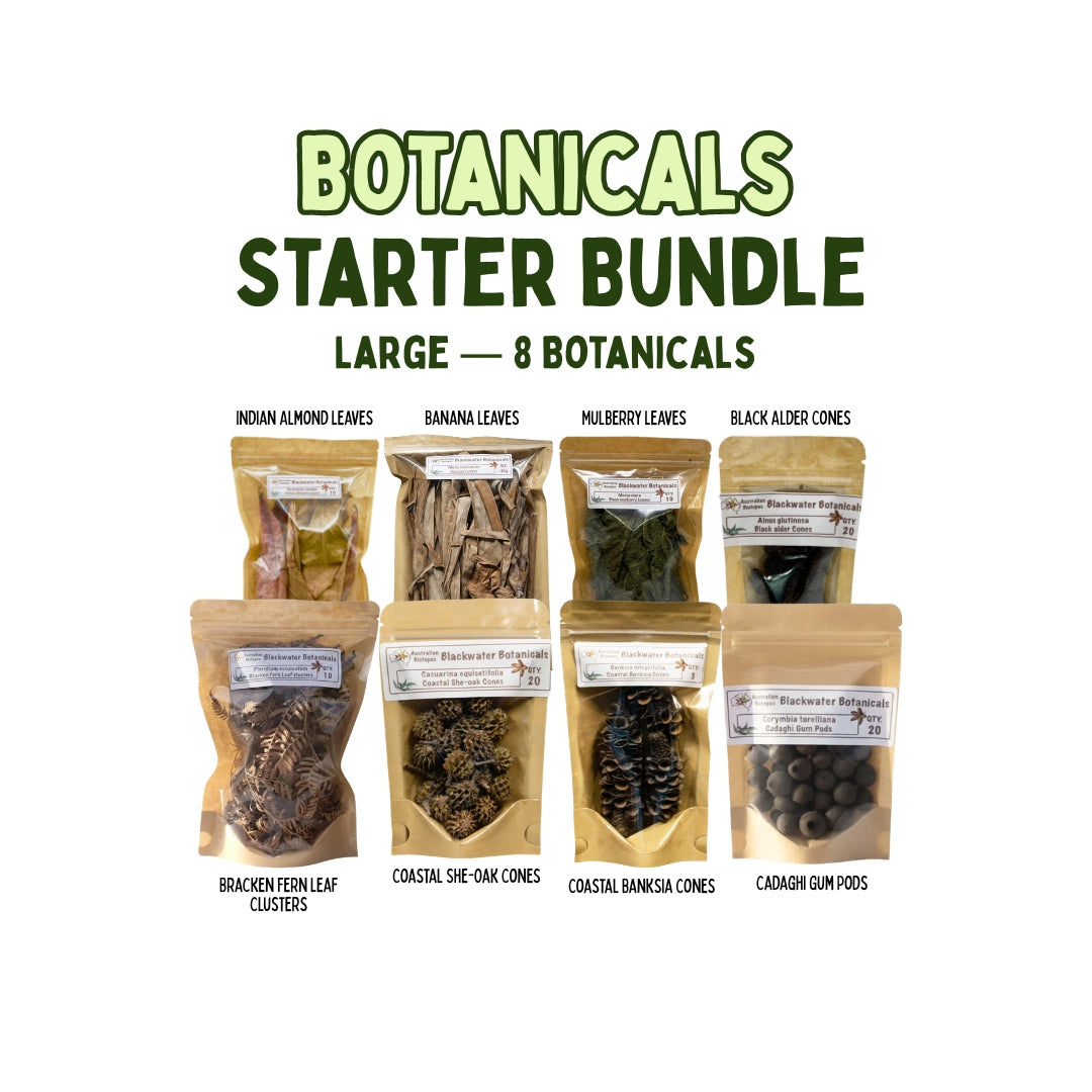 Botanicals Starter Bundle
