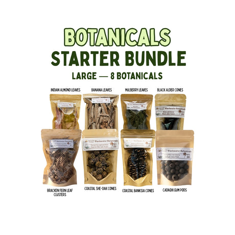 Botanicals Starter Bundle