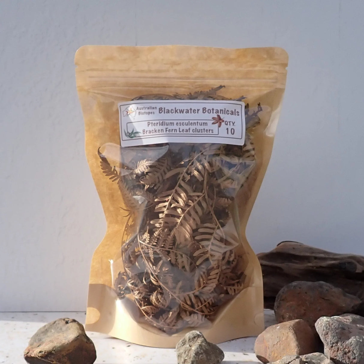 Bracken Fern Leaf Clusters | 10pk