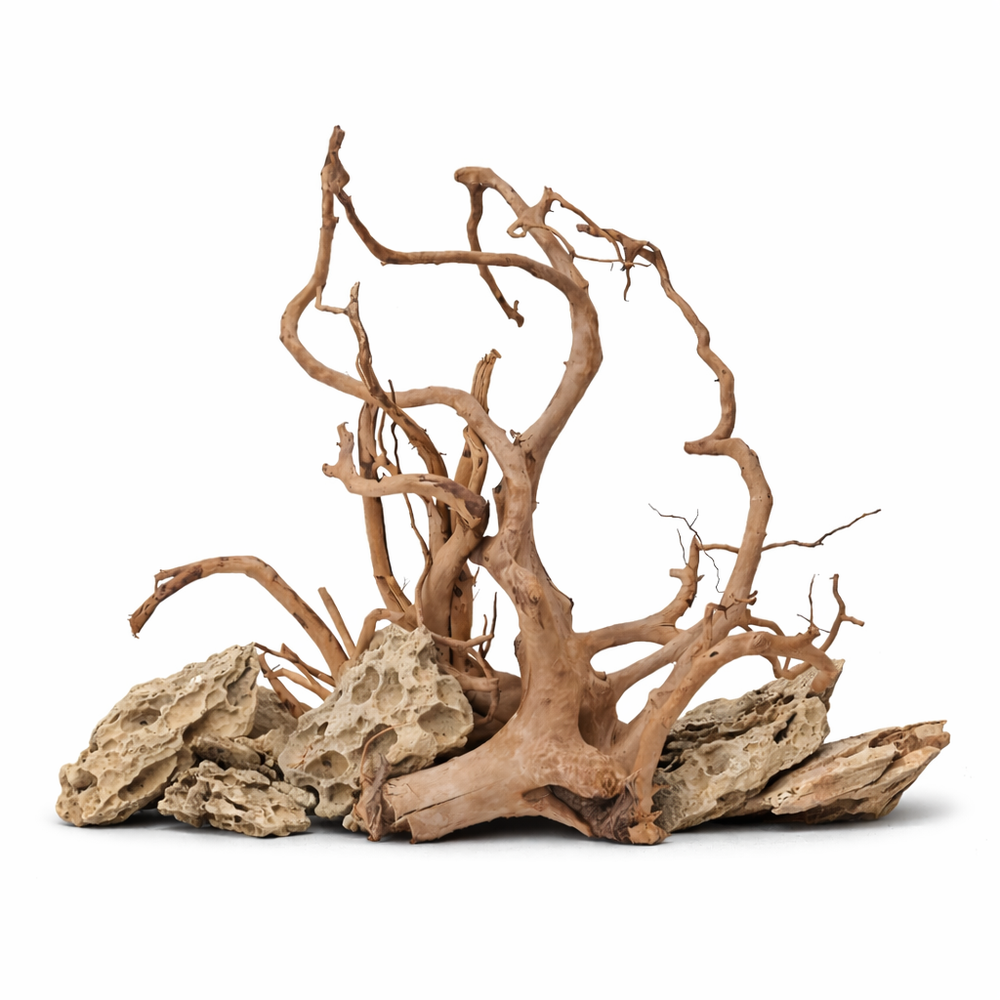 AQUASCAPING & DECOR