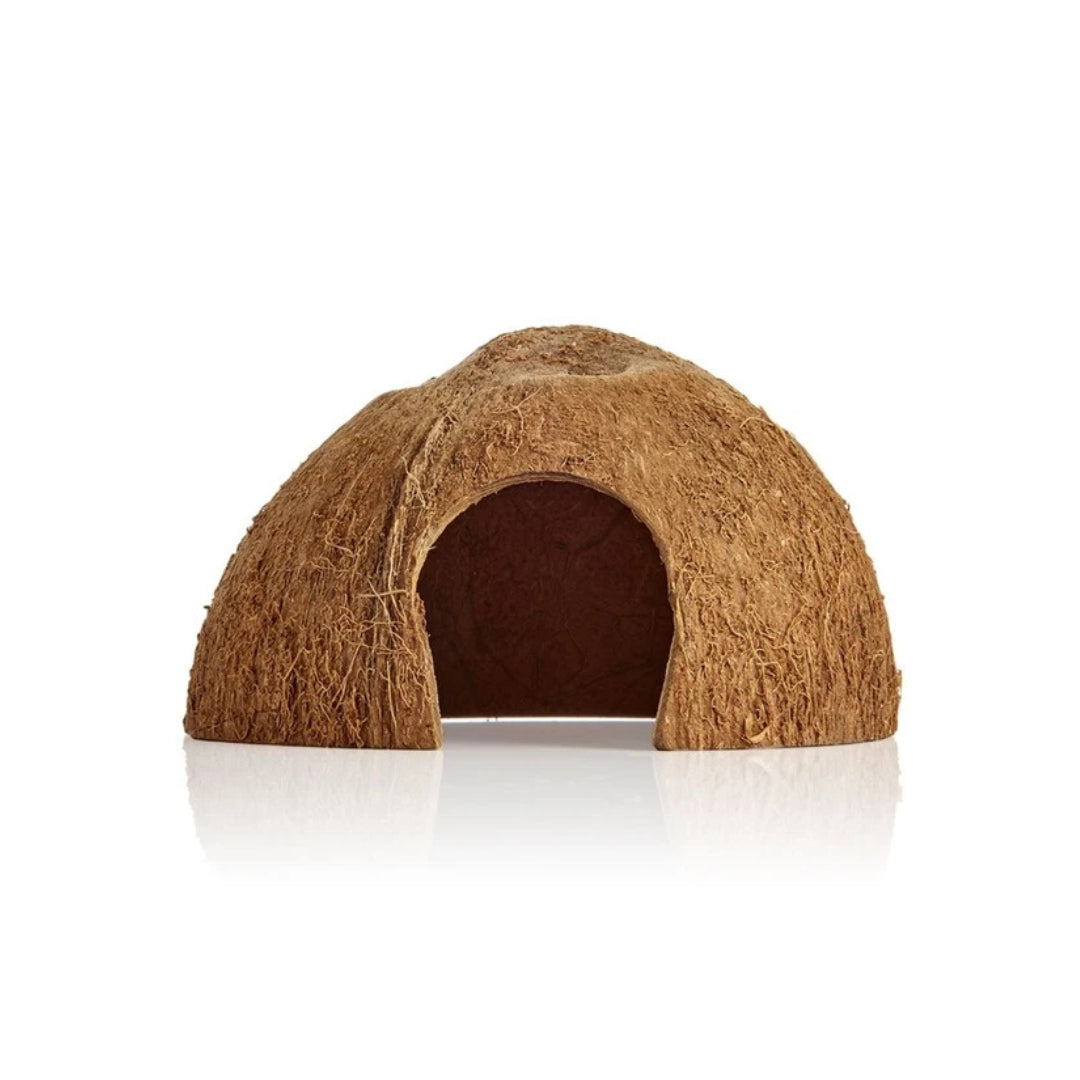 Coconut Cave (Great for Dwarf Cichlids)