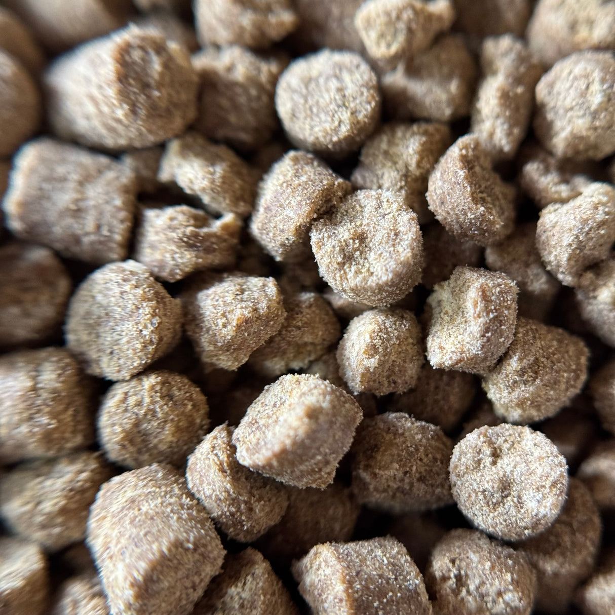 Bug Buffet Fish Food