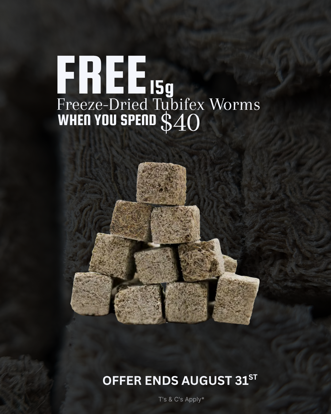 15g Freeze-Dried Tubifex Worms