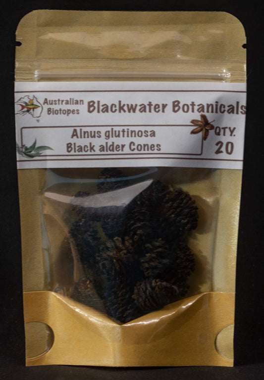 Black Alder Cones (Alnus glutinosa) - Pack of 20 (Great for Shrimp)
