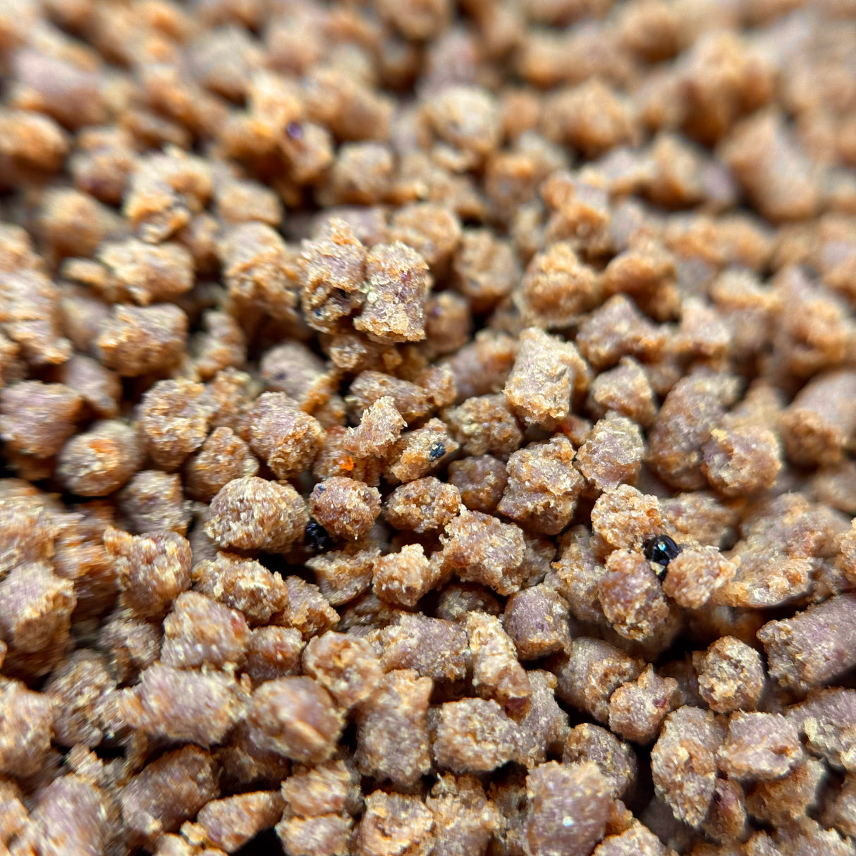 Vitalis Carnivore Cichlid Pellet (1.5mm)