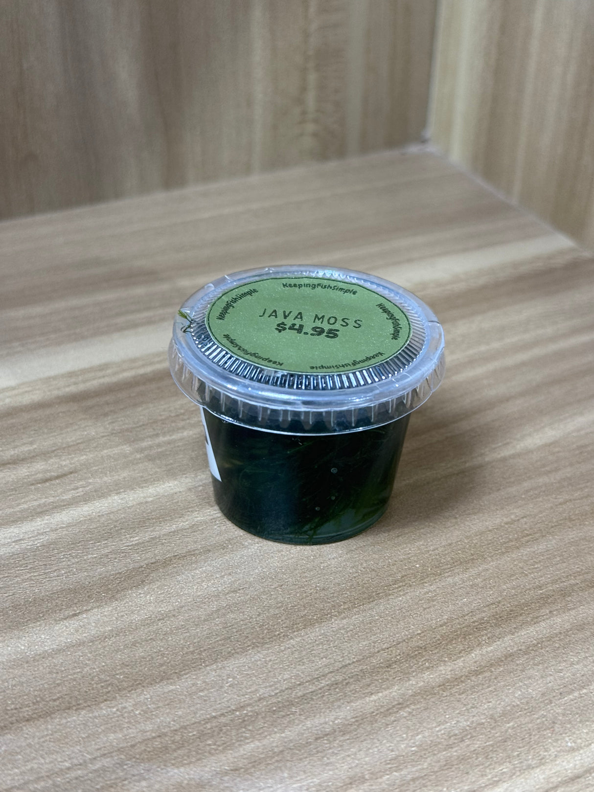 Java Moss - Small Tub