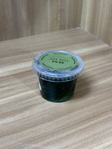 Java Moss - Small Tub