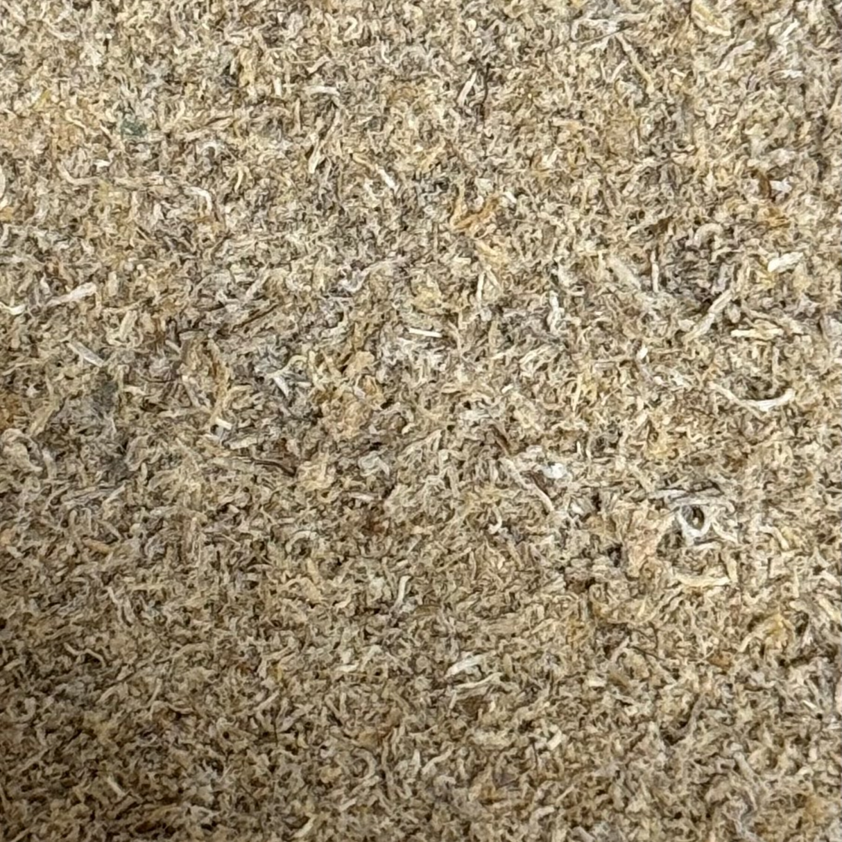 Freeze Dried Tubifex Powder