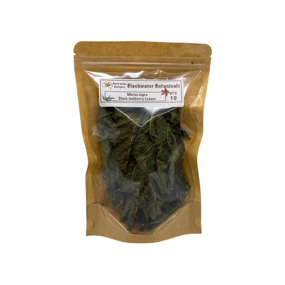 Mulberry Leaves (Morus nigra) – 10pk