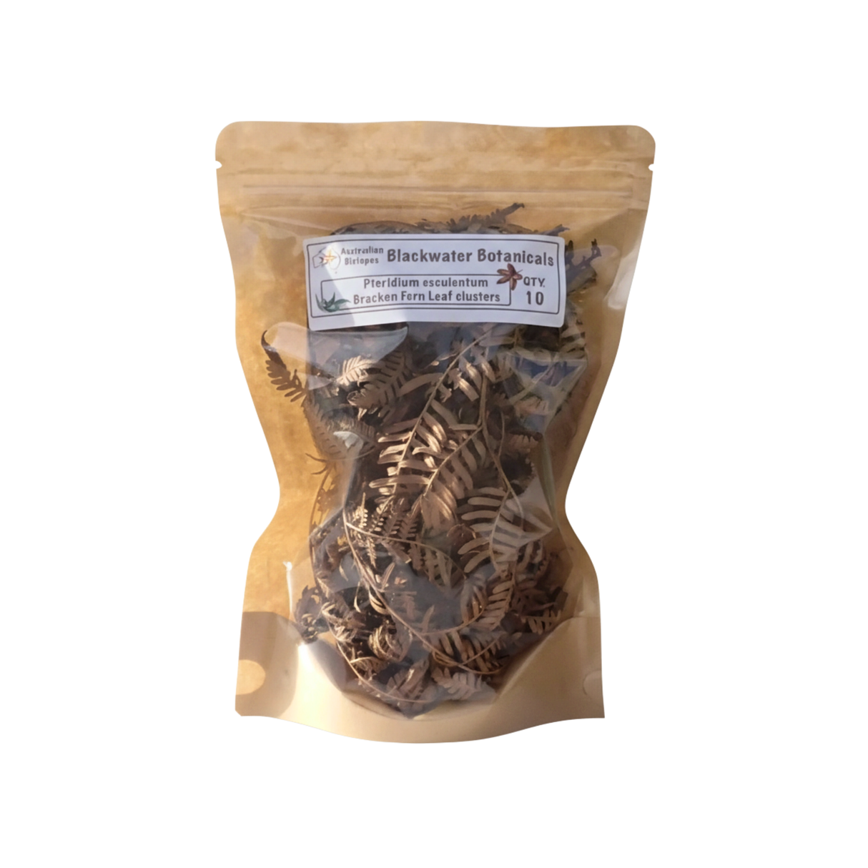 Bracken Fern Leaf Clusters – 10pk