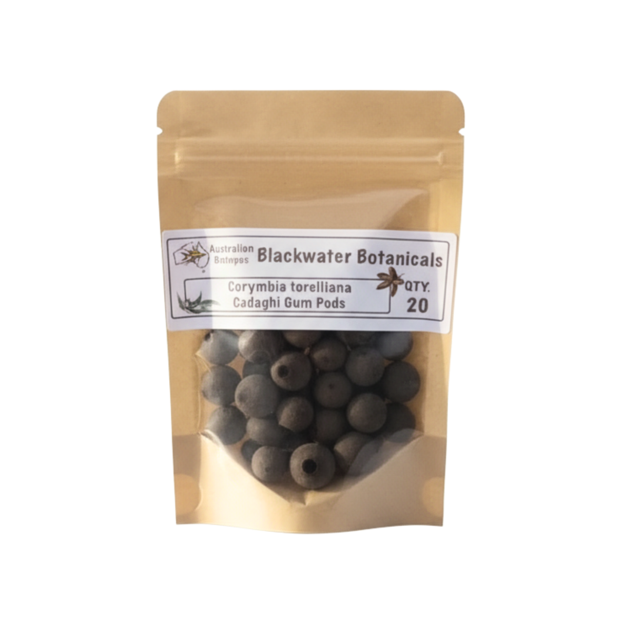 Cadaghi Gum Pods (Corymbia torelliana) – 20pk