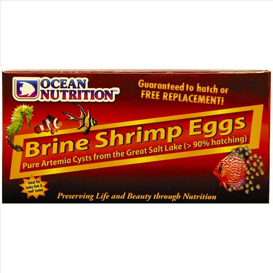 Brine Shrimp Eggs - Excellent Hatch Rate