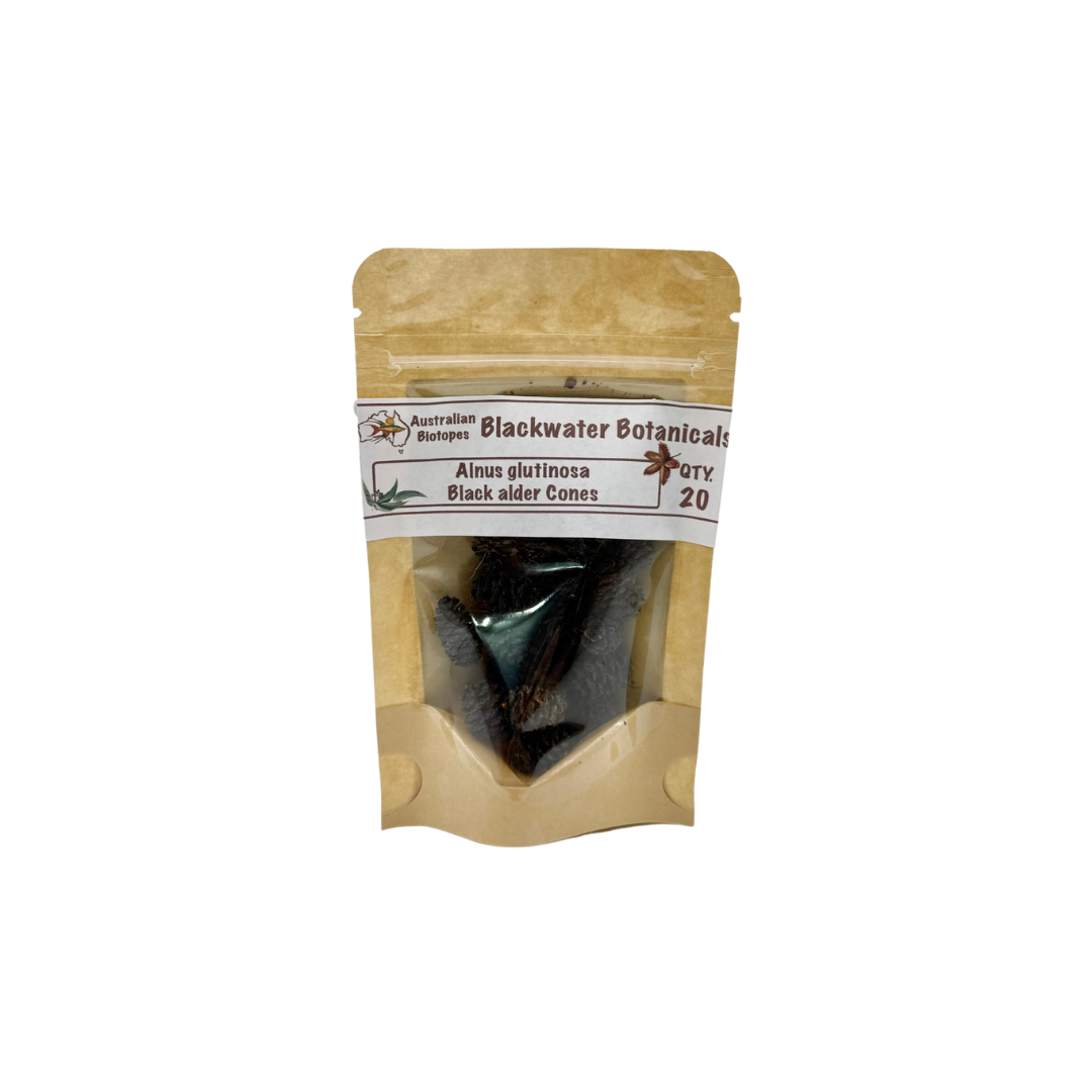 Black Alder Cones (Alnus glutinosa) - Pack of 20 (Great for Shrimp)