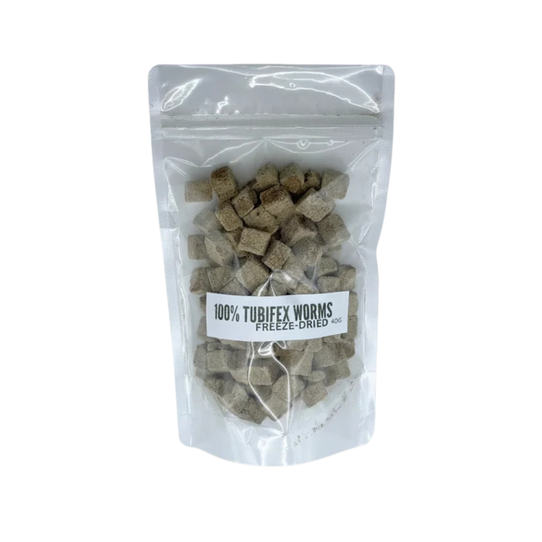 Freeze-Dried Tubifex Worm Cubes