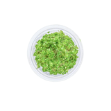 Variegated Hydrocotyle tripartita Pot (Live Plant)