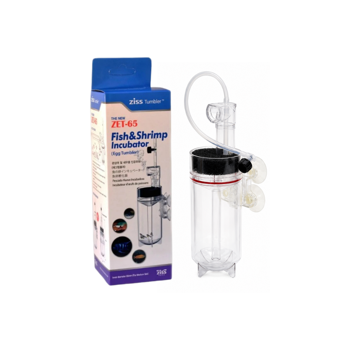 Ziss Aqua Egg Tumbler