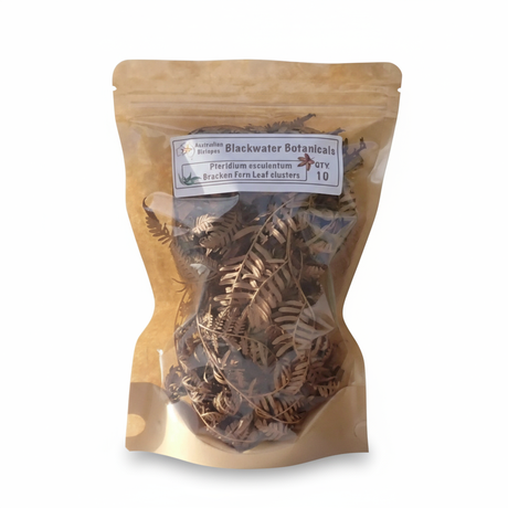 Bracken Fern Leaf Clusters - White Background