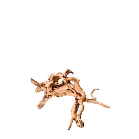 Gold Vine Drift Wood