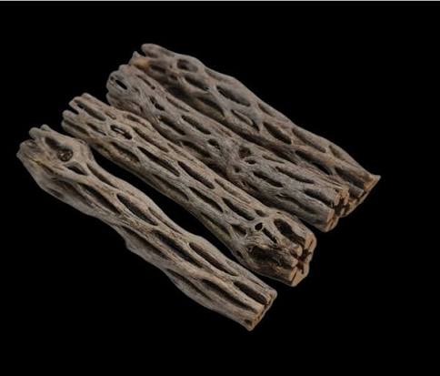 Cholla Wood