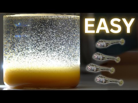 All-in-One Brine Shrimp Starter Pack (700ml)