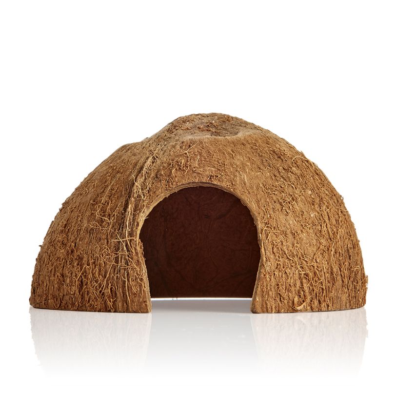 Coconut Cave (Great for Dwarf Cichlids)