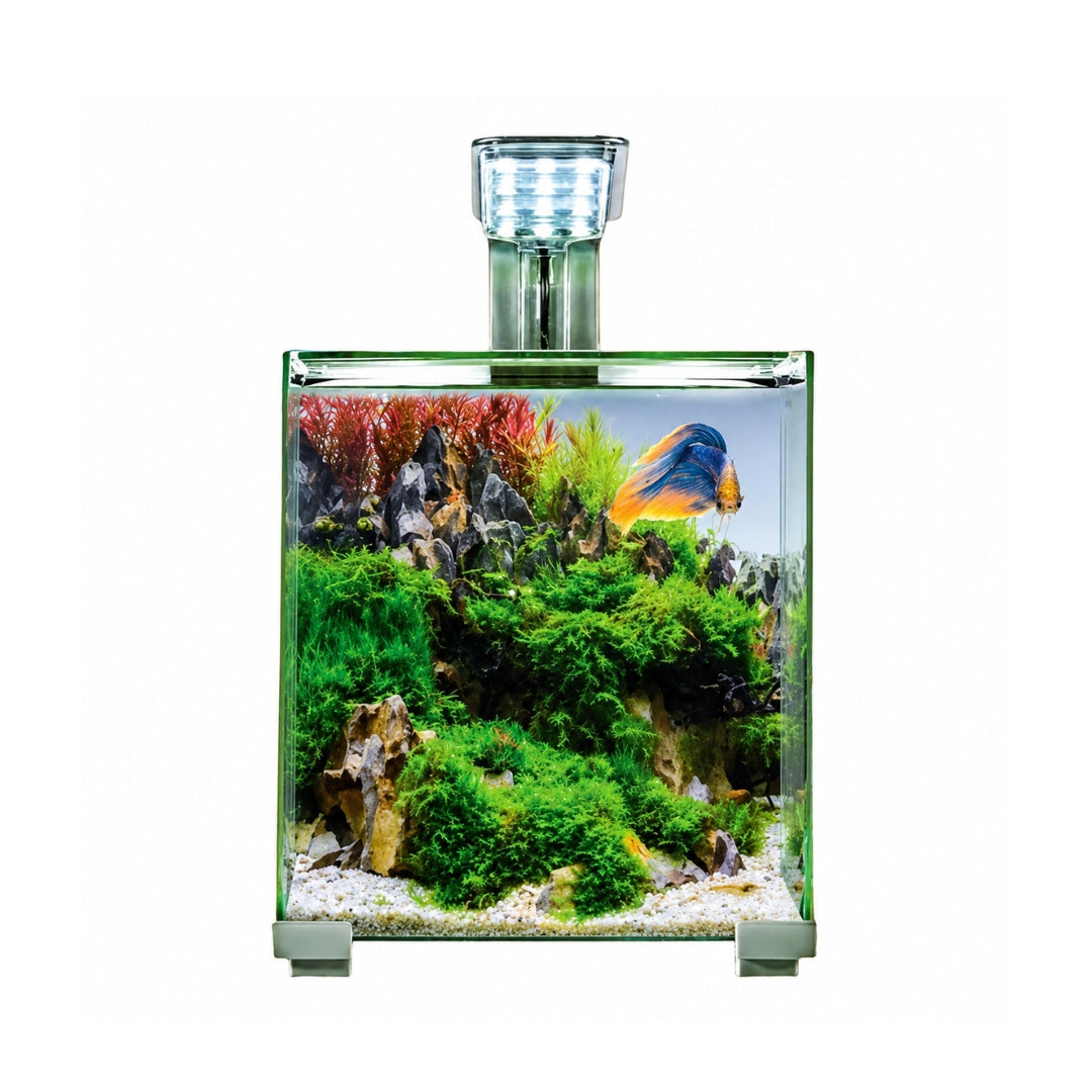 Bioscape Tropic Betta Desktop Aquarium (In-Store Only)