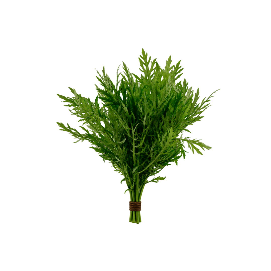 Wisteria (Hygrophila difformis) - Bunch (Live Plant)